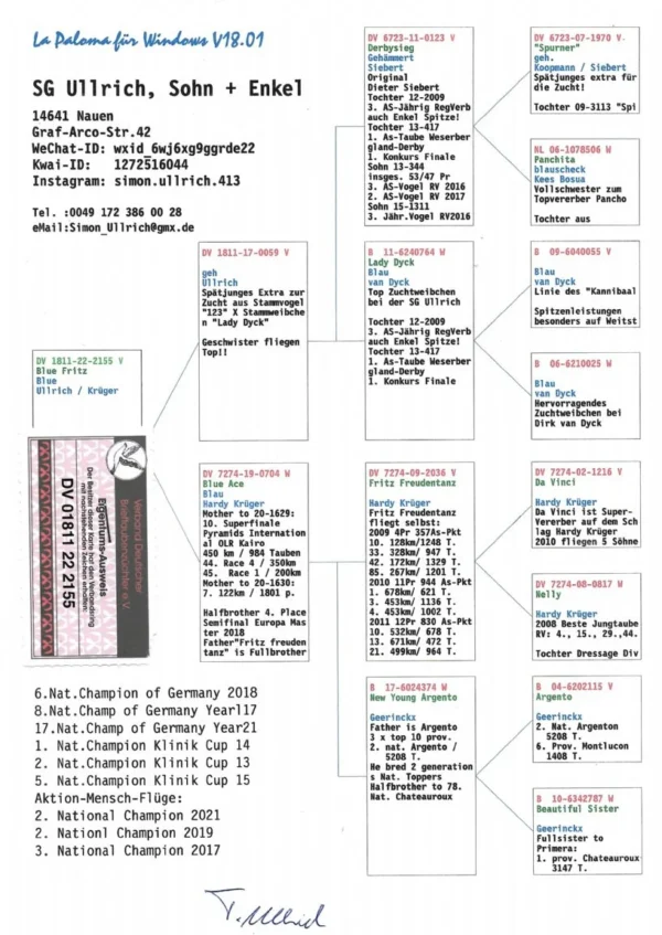DV 1811-22-2155 M Blue Fritz SG Ullrich Father 170 Final Algarve Golden Race 2023 Fullbrother to 5 Extra Final Pattaya  OLR 2025 600km 4878p  Royal Lilu 32 Hot Spot 1  Victoria Falls OLR 22 Legend Nilo 9 HotS 3 Pyramids OLR 23 179. final 451km Derby16 Bursa OLR – 1186p  40. acebird Derby 16