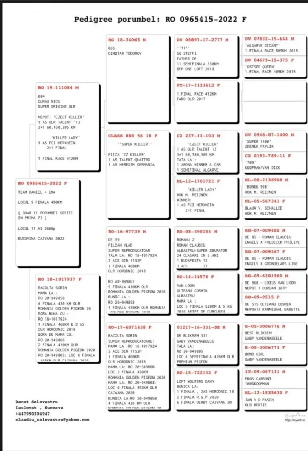 RO 22-0965415 Solovastru Daniel 9 Final Cajvana 2022 490KM( DOAR 11 PORUMBEI SOSITI IN PRIMA ZI )  LOCUL 11 AS 2600p  BUCOVINA CAJVANA 2022 Nepot 638 Racolta Sorin. Frate 82 Final Superstar Winter   8 HS 4 22/23  semifrate 858/20  4 FINALA 430 KM OLR   ROMANIA GOLDEN PIGEON 20  Tata la:   8 finala RGP OLR 2021  13 Finala Horodnic OLR23