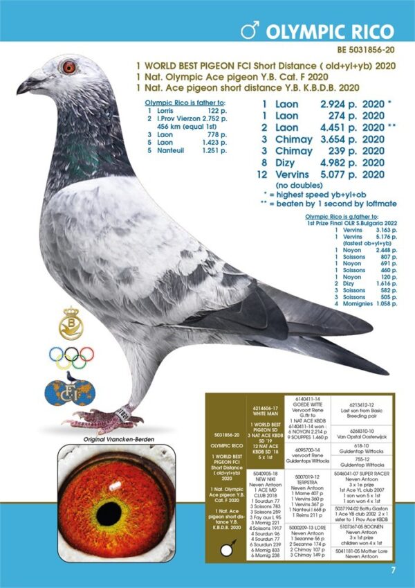 RO 66691 25 Barboi Lucian REPRODUS IN BOXA INDIVIDUALA Nepot Grizly Adams si nepot Olympic Rico 1 Olympic ACE YB CAT. F  1 Nat Ace KBDB YB Short Distance2020  1 WolrdBest Pigeon And Grizli Adams Nest Brother‘Goed Grijs’ 1. NPO Laon 6371b. 1. Duffel 5821b. 2 min.F 1. Heusden Zolder 2775b 1. Laon 1052b. 2017 1. Wijchen 786 b. 2016 1. Heusden-Zolder 656b. 1. Hapert 231b. 2016