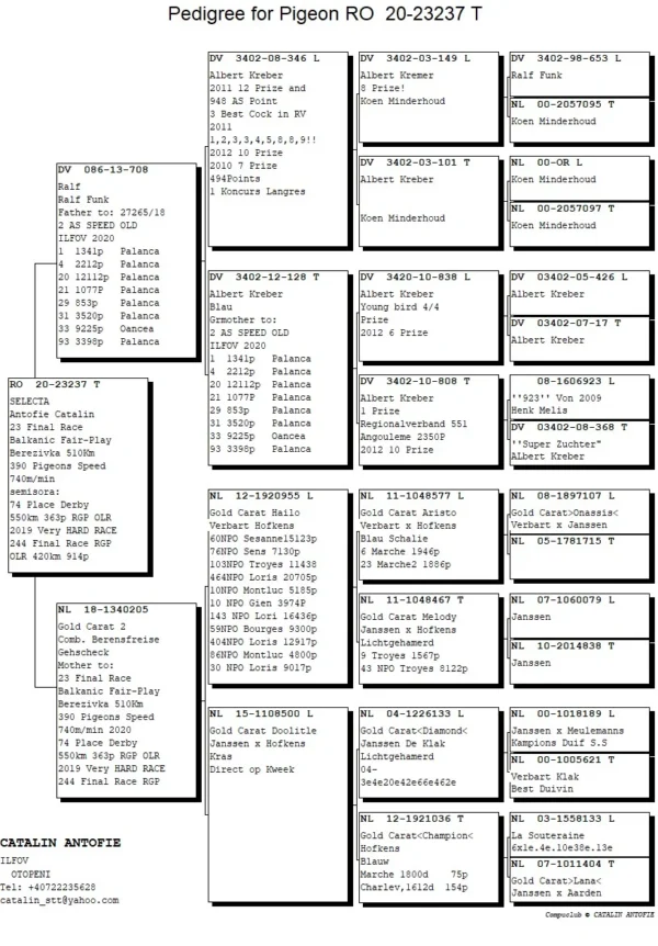 RO 20-23237 Femela Antofie Catalin 23 Final Race Balkanic Fair-Play  Berezivka 510Km 390  Pigeons Speed 740m/min  semisora:  74 Place Derby 550km  363p RGP OLR 2019 Very  HARD RACE   244 Final Race RGP  OLR 420km 914p Grandmother to: 10 152km 3862p. 35 195km 3983p. 36 156km 1420p. 56 195km 3983p. 67 174km  779p. 129/3691 P/194 KM 136/3862 P/151 KM 239/1420 P/156 KM 518/7473 P/156 KM 40/1420 P/156 KM 647/3691 P/194 KM 33/1420 P/156 KM 52/1341 P/126 KM 268/3691 P/194 KM 36/407 P/172 KM 83/559 P/168 KM 36/407 P/172 KM 66/3554 P/231 KM 83/559 P/168 KM 223/4857 P/194 KM 803/5421 P/151 KMt