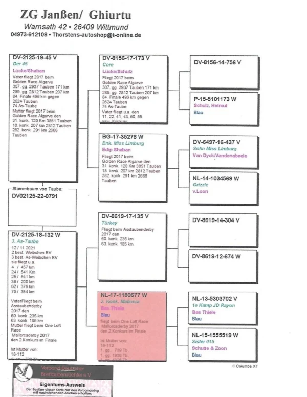 2125-22-791 Femela Janssen & Ghiurtu mama este locul 3 as RV, fiica din loc 2 Finala MAllorca OLR