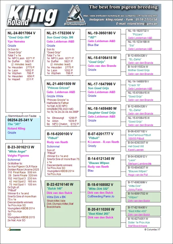 DV 06254-25-341 Mascul  Roland Kling Tatal este un nepot consangvin din faimoasa Goed Grijs, mama este o nepoata Pitbull777,in ultimi ani in Romania descendentii din Pitbull777 au dominat podiumul national la categoria Viteza