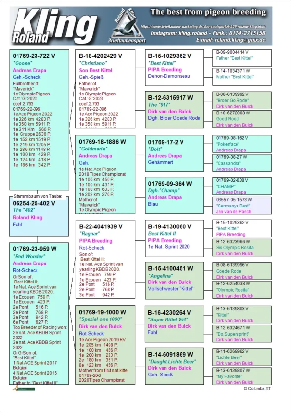 DV 6254-25-402 Mascul tatal  este frate bun cu super zburatorul Maverick Andreas Drapa, mama este fiica din super reproducatorul Ragnar!!