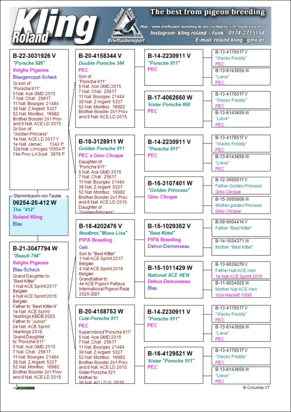 DV 6254-25-412 Femela Roland Kling Tatal dublu nepot Porsche 911 Pipa Elice Center, mama nepoata Porsche 911 si Best Kittel