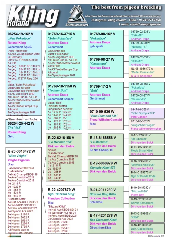 DV 6254-25-442 Femela Roland Kling Tatale este New Pokerface super zburator, mama este nepoata Blizzard King Kittel si Le Machine