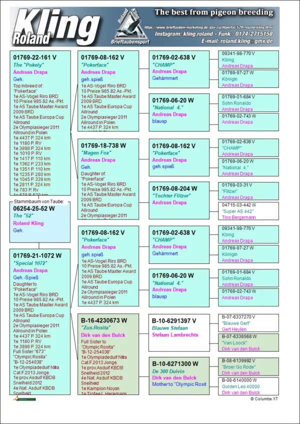 DV 6254-25-52 Femela Roland Kling, dubla nepoata Pokerface Andreas Drapa