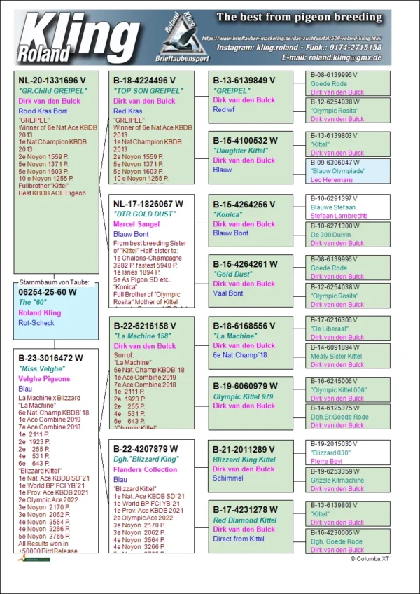 DV 6254-25-60 Femela Roland Kling tatal este nepot dinGreipel Konika si Gold Dust superreproducatori originali Dirk Van den Bulk, mama este nepoata La Machine, si Blizzard King Kittel