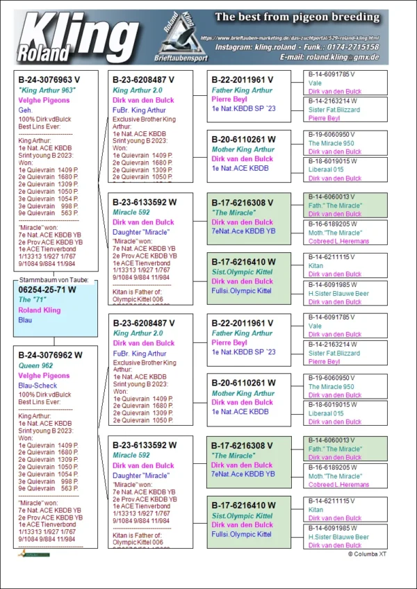 DV 6254-25-71 Femela Roland Kling HYPEREXCLUSIV dubla nepoata din fratele lui King Arthur  Dirk Van den Bulk, 1 Nat Viteza Pui KBDB 2023