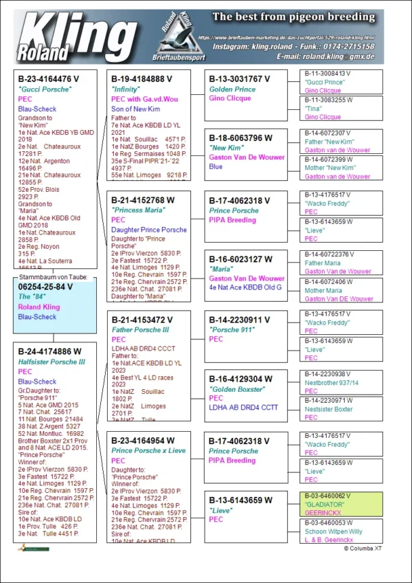 DV 6254-25-84 Mascul Roland Kling tata este nepot din Golden Prince Gino Clique, New Kim Gaston wd Wouwer, Prince Porsche PEC, Maria Gaston WD Wouwer, mama este sora de tata cu Porsche III, noul superstar Pipa Elite Center, 1 National KBDB Long Distance Yearling