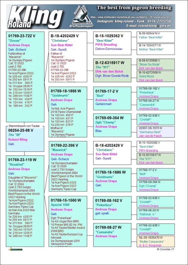 DV 6254-25-98 Mascul Roland Kling,  tatal este frate bun cu Maverick Olympic Pigeons Cat. G. 2023 Andreas Drapa, mama este fiica din Maverick