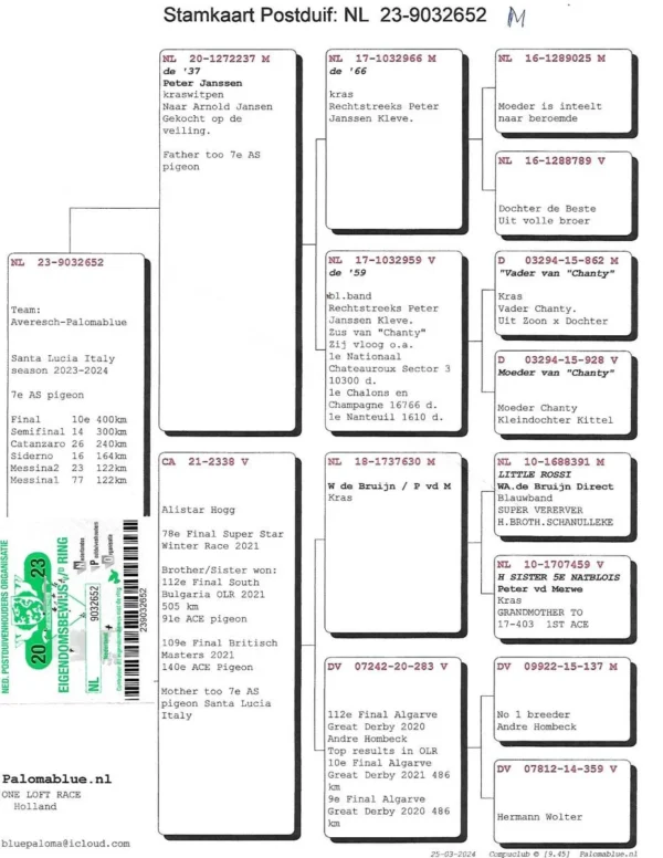 NL 23- 9032652 Mascul Paloma Blue 7 as 10 Finala 14 Semifinala OLR Santa Lucia Italia