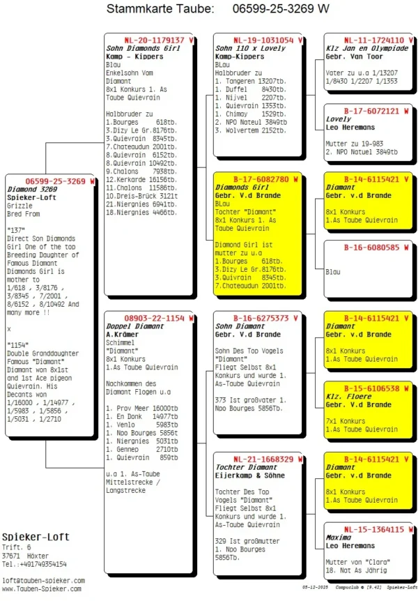 DV 6599-25-3269 Femela Spieker Loft TRIPLA stranepoata Diamant Gebr. Van den Brande