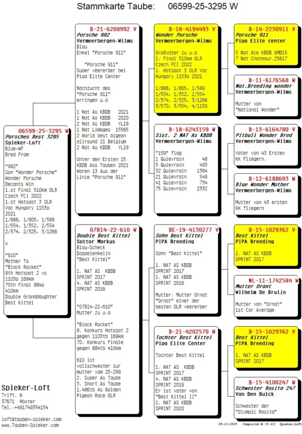 DV 6599-25-3295 Femela Spieker Loft tatal este nepot Porsche 911, mama este dubla nepoata Best Kittel