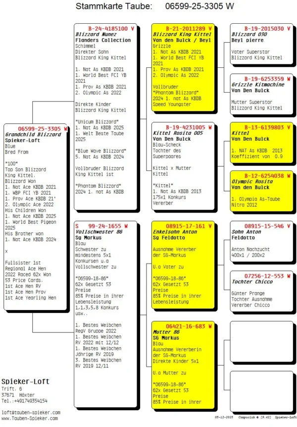 DV 6599-25-3305 Femela Speker Loft HYPERXCLUSIV !!!! Nepoata BLIZZARD KING KITTEEL 1. National Acepigeon Sprint KBDB 2021 1. World Best Pigeon Young Birds FCI 2021 1. Prov. Acepigeon KBDB 2021 Frate bun cu Phantom Blizzard 1. National Acepigeon Sprint KBDB 2024, Father UNICUM 1. National Acepigeon Sprint KBDB 2025