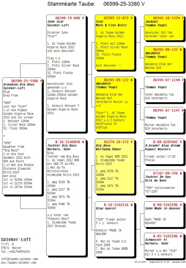 DV 6599-25-3380 Mascul Tata este fiu consangvin din Scar locul 1 As Aglave Golden Race 2012 mama este o fiica din celebrul Big Boss Olympci la doua categorii si super reproducator pentru familia Herbots 1st National ace Germany 2012 1st Olympid bird middle distance Nitra 2013  1st Olympiad bird Allround 2013 (11 races