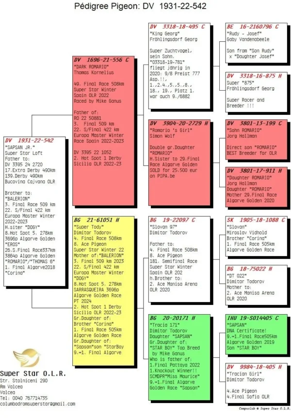 DV 1931-22-542 Mascul Sapsan Jr Superstar Breeding Loft frate Locul 3 Finala Europa Master Loft 509km