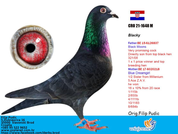 RO 652140 2025 M Tamas Dorin mama nepoata Olympic Ineu, tata este original Pudic Filip