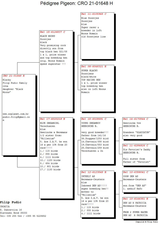 RO 652140 2025 M Tamas Dorin mama nepoata Olympic Ineu, tata este original Pudic Filip
