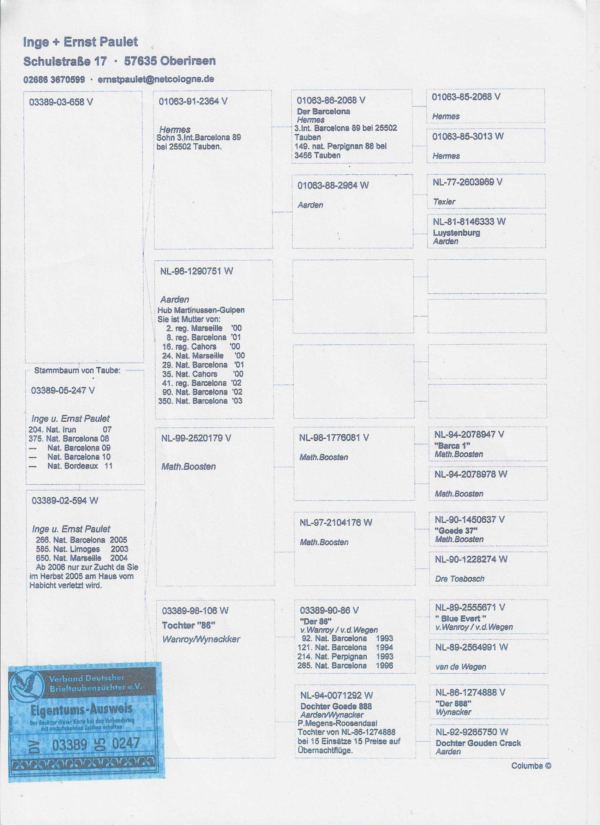 RO 50831 2018 Tamas Dorin Raymound Hermes top Baecelona line