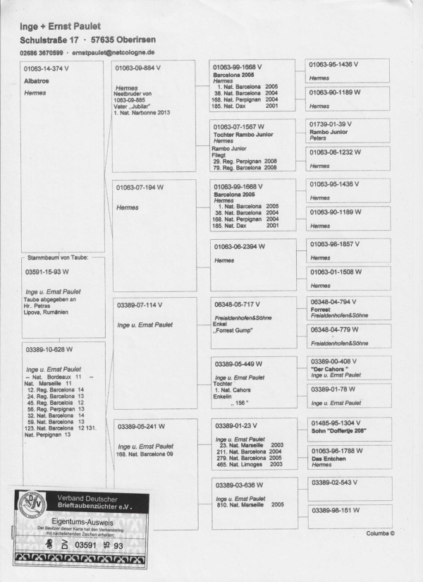 RO 50831 2018 Tamas Dorin Raymound Hermes top Baecelona line