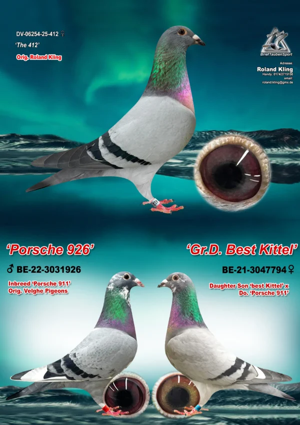 DV 6254-25-412 Femela Roland Kling Tatal dublu nepot Porsche 911 Pipa Elice Center, mama nepoata Porsche 911 si Best Kittel