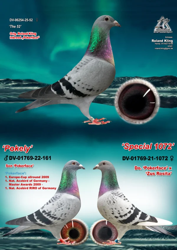 DV 6254-25-52 Femela Roland Kling, dubla nepoata Pokerface Andreas Drapa