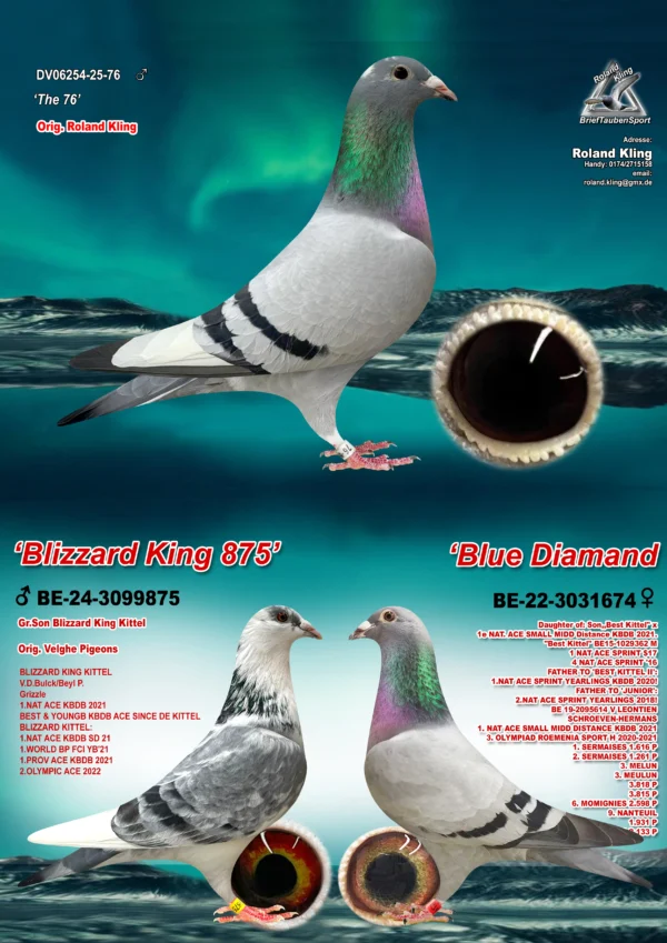 DV 6254-25-76 Mascul Roland Kling nepoata Leontine, 1 Nat. Smal Middel Distance , 3 Olympic Cat H. 2021-2021 Tatal este nepot din Blizzard King Kittel