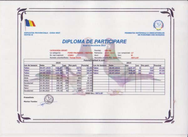 RO 50863 20218 Mascul Tamas Dorin super reproducator fiu din Asu, mama este nepoata din Salinero Eijerkamp