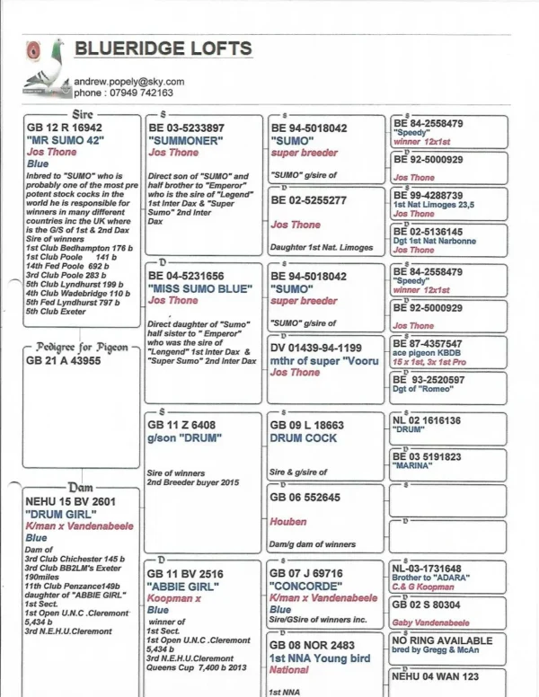 GB 21A 43955 Femela Blueridge Lofts Jos Thone x Koopman Drum/Adora