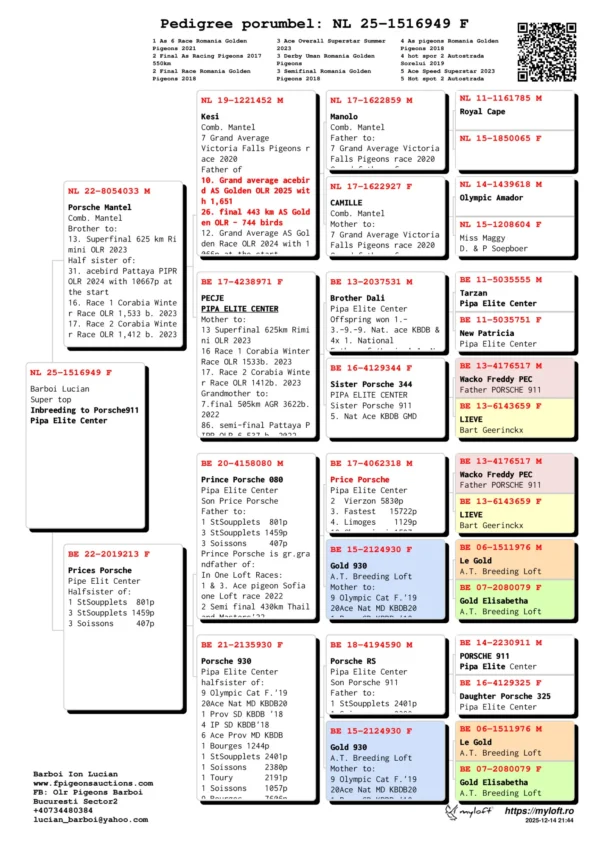 NL 25-1516949 Barboi Lucian Super top Inbreeding to Porsche911 Pipa Elite Center, tata original Mante fiu Pecje, mama nepoata Prince Porsche