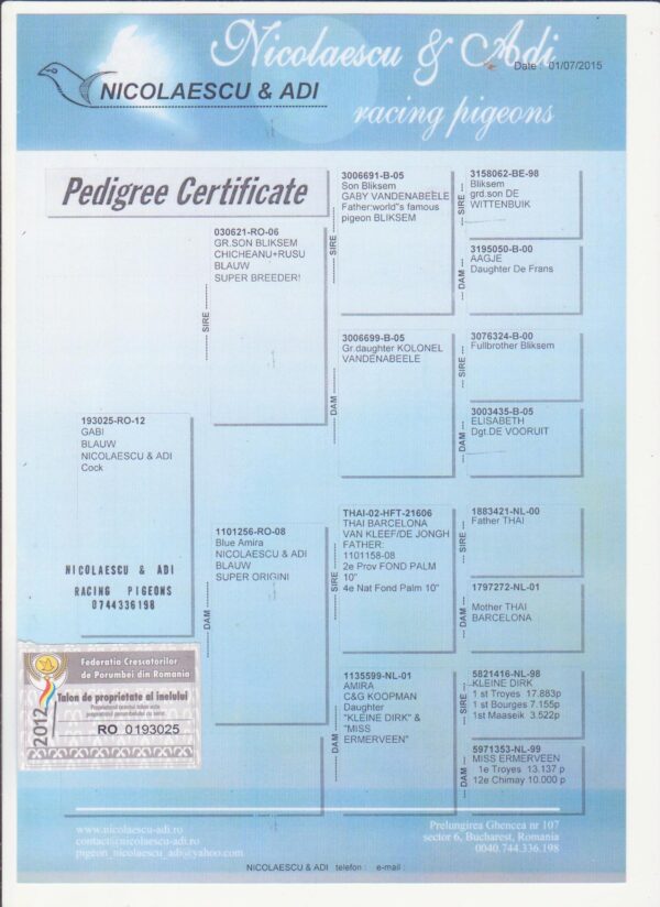 RO 92114 2021 Mascul  Dorin Tamas Gaby Vandenabeele Piet Manders