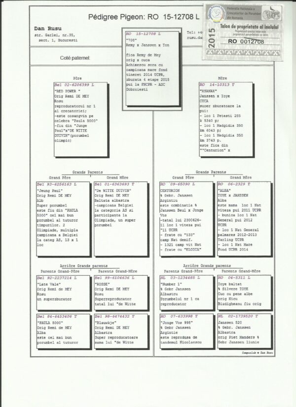 RO 92114 2021 Mascul  Dorin Tamas Gaby Vandenabeele Piet Manders