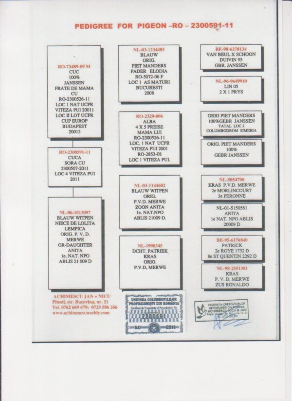 RO 92114 2021 Mascul  Dorin Tamas Gaby Vandenabeele Piet Manders