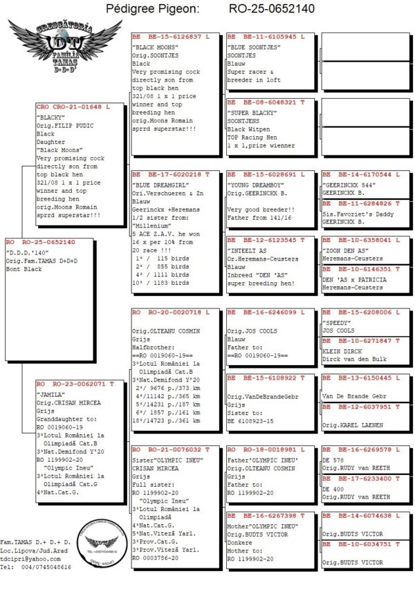 RO 652140 2025 M Tamas Dorin mama nepoata Olympic Ineu, tata este original Pudic Filip
