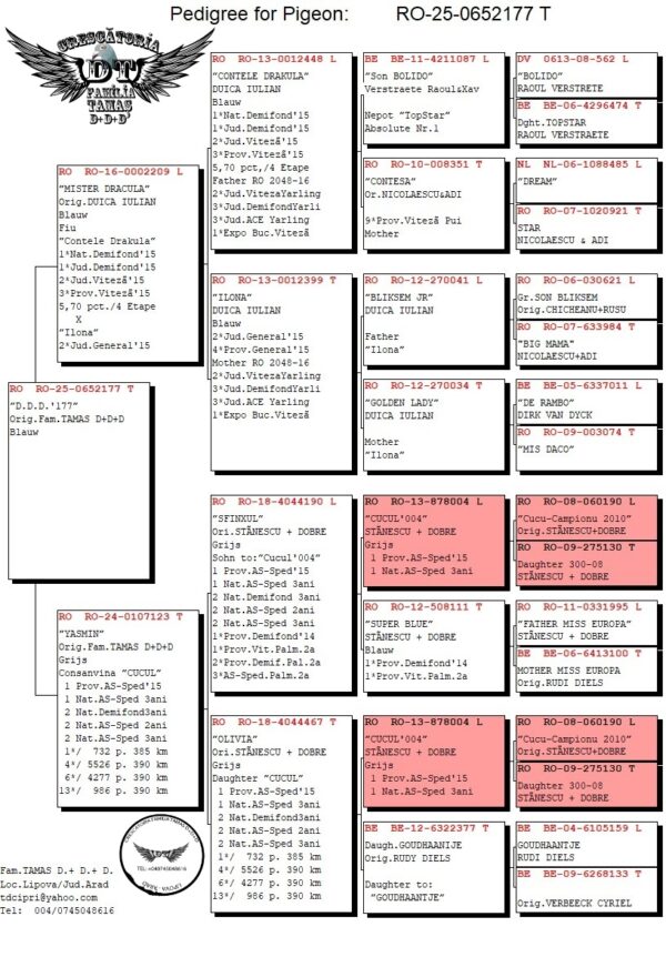 RO 652177 2025 Mascul Tamas Dorin Tatal este fiu din Contle Dracula Duica Iulian, mama este dubla nepoata din  Cucul 004 Stanescu&Dobre