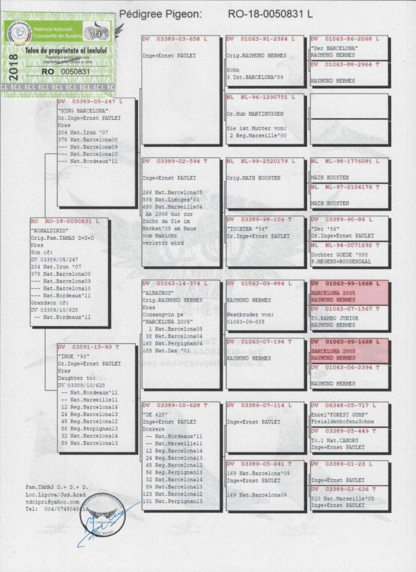 RO 50831 2018 Tamas Dorin Raymound Hermes top Baecelona line