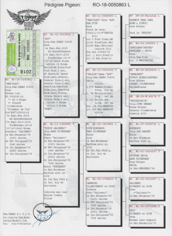 RO 50863 20218 Mascul Tamas Dorin super reproducator fiu din Asu, mama este nepoata din Salinero Eijerkamp
