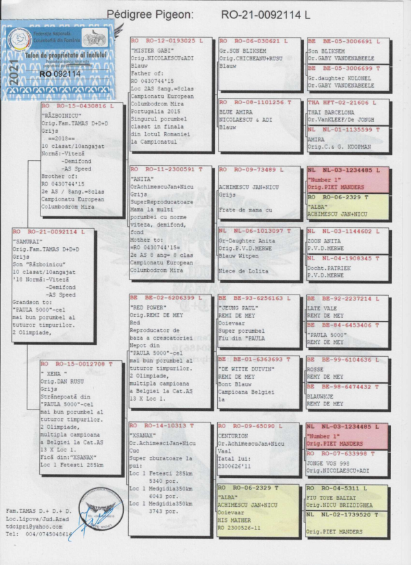 RO 92114 2021 Mascul  Dorin Tamas Gaby Vandenabeele Piet Manders