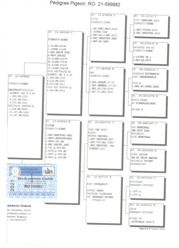 RO 652189 2025 Mascul Tamas Dorin consangvina Cucul 04 Stanescu & Dobre, mama este nepoata Bibina 1 National Demifond Palmares 3 ani