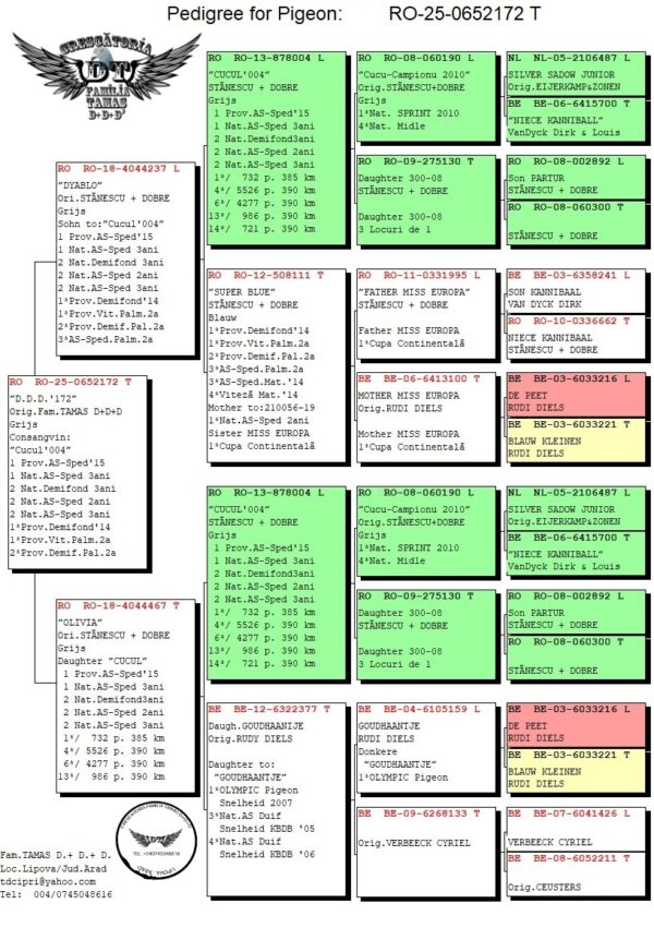 RO 652172 2025 Femela Tamas Dorin dubla nepoata Cucul 004 Stanescu&Dobre