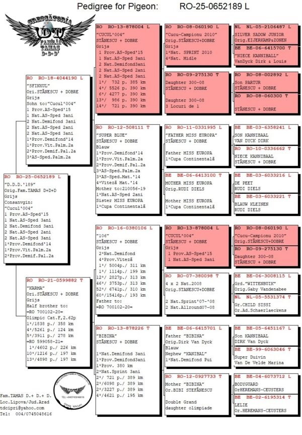 RO 652189 2025 Mascul Tamas Dorin consangvina Cucul 04 Stanescu & Dobre, mama este nepoata Bibina 1 National Demifond Palmares 3 ani
