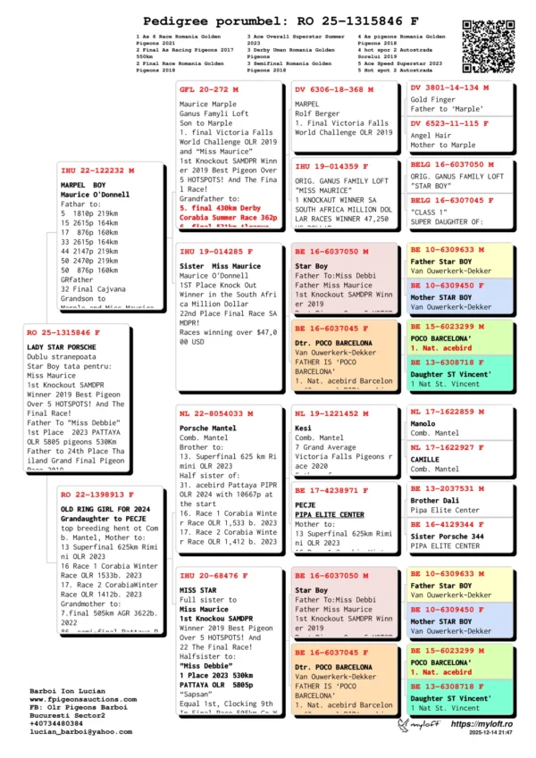 RO 25-1315846 Mascul Barboi Lucian STAR PORSCHE Dublu stranepot Star Boy tata pentru: Miss Maurice 1st Knockout SAMDPR  Winner 2019 Best Pigeon Over 5 HOTSPOTS! And The Final Race! Father To ”Miss Debbie”  1st Place  2023 PATTAYA OLR 5805 pigeons 530Km  Father to 24th Place Thailand Grand Final Pigeon Race 2019 Father To “Sapsan” Equal 1st, Clocking 9th In Final Race 505km Co Winner Algarve Golden Race 2019