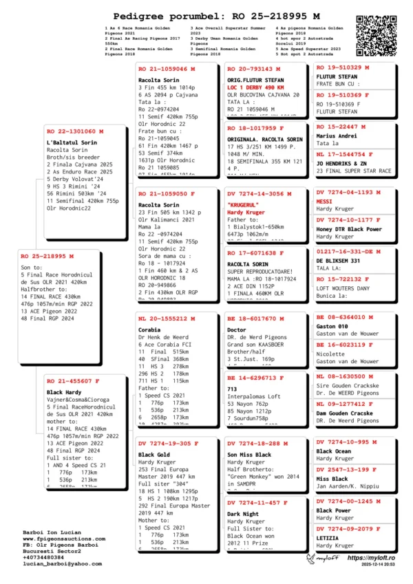 RO 25-218995 Mascul Barboi Lucian Son to 5 Final Race Horodnicul  de Sus OLR 2021 420km Halfbrother to: 14 FINAL RACE 430km 476p 1057m/min RGP 2022 13 ACE Pigeon 2022 48 Final RGP 2024