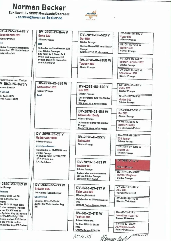 DV 1063-25-1473 Mascul Norman Becker tata este dublu nepot 520 7x locul 1 mama o buna reproducatoare consangvina din super 3330