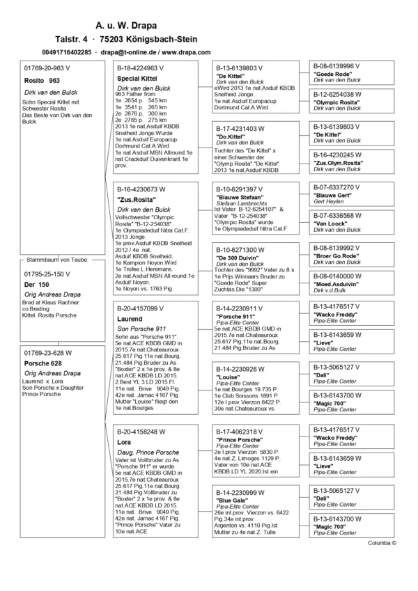 DV 1769-25-150 Mascul Andreas Drapa Tatal este enpot de Kittel Dirk van den Bulk, mama este nepoata Porsche 911 si Prince Porsche PIPA ELITE CENTER
