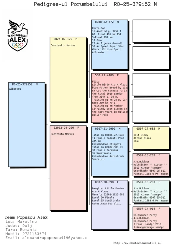 RO 25-379152 Mascul Team Alex Popescu un porumbel reprodus din super linia de columbodrom a lui Alfons Klass
