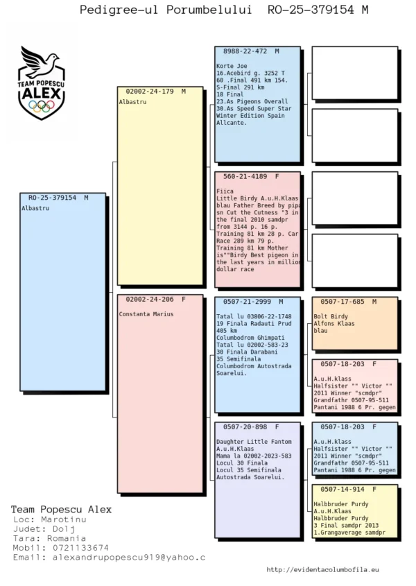 RO 25-379154 Mascul Team Alex Popescu  reprodus din porumbeii renumiti ai faimoului Alfons Klass