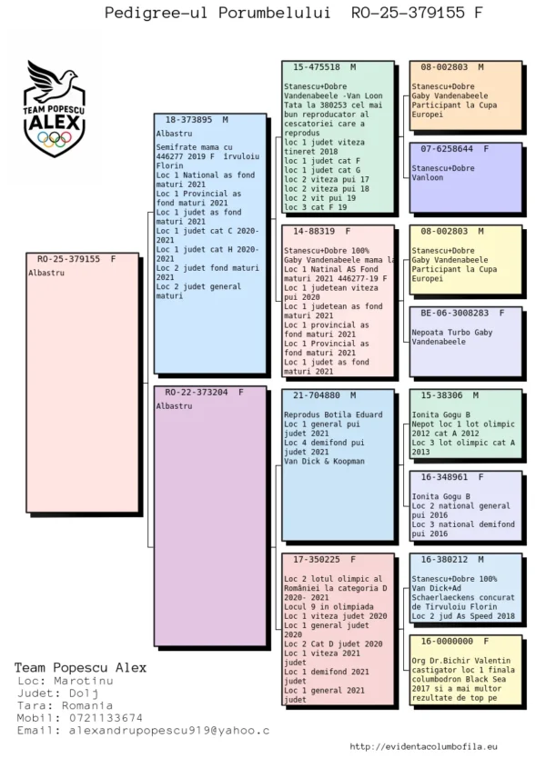 RO 25-379155 Femela Team Alex Popescu nepot din femela 225 locul2 Cat D Lotul Olimpic 2020-2021, locul 1 viteza judetean