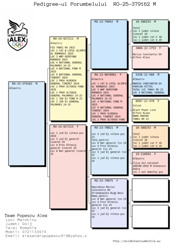 RO 25-379162 Mascul Team Alex Popescu fiu din locul 1 Viteza pui Dolj 2024, nepot din locul 1 Cat B. lotul olimpic 2025, # WBP MIDDEL Distance 2025, locul 4 national General Palmares 2 ani 2024-2025