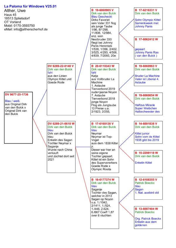 DV 9677-25-1736  Alther Uwe 100% Dirk  van den Bulck , tata Olympic Kittel  si  La  Machine 1. Astaube  Tienverbond 2019  oude+jaarse Noyon 7. Astaube  Tienverbond 2018  jonge Noyon, mama nepoata Sagan Patrick Boeckx
